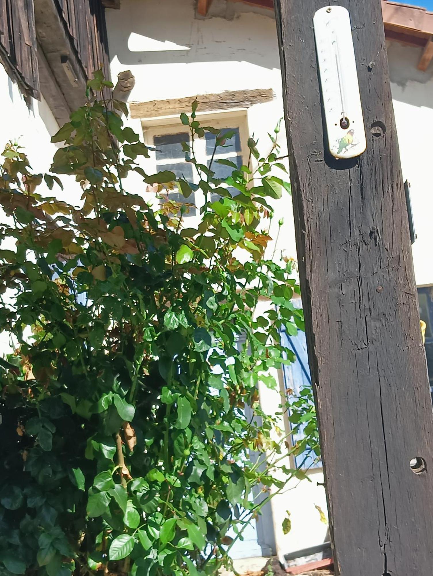 Chez Nath Séjour chez l'habitant